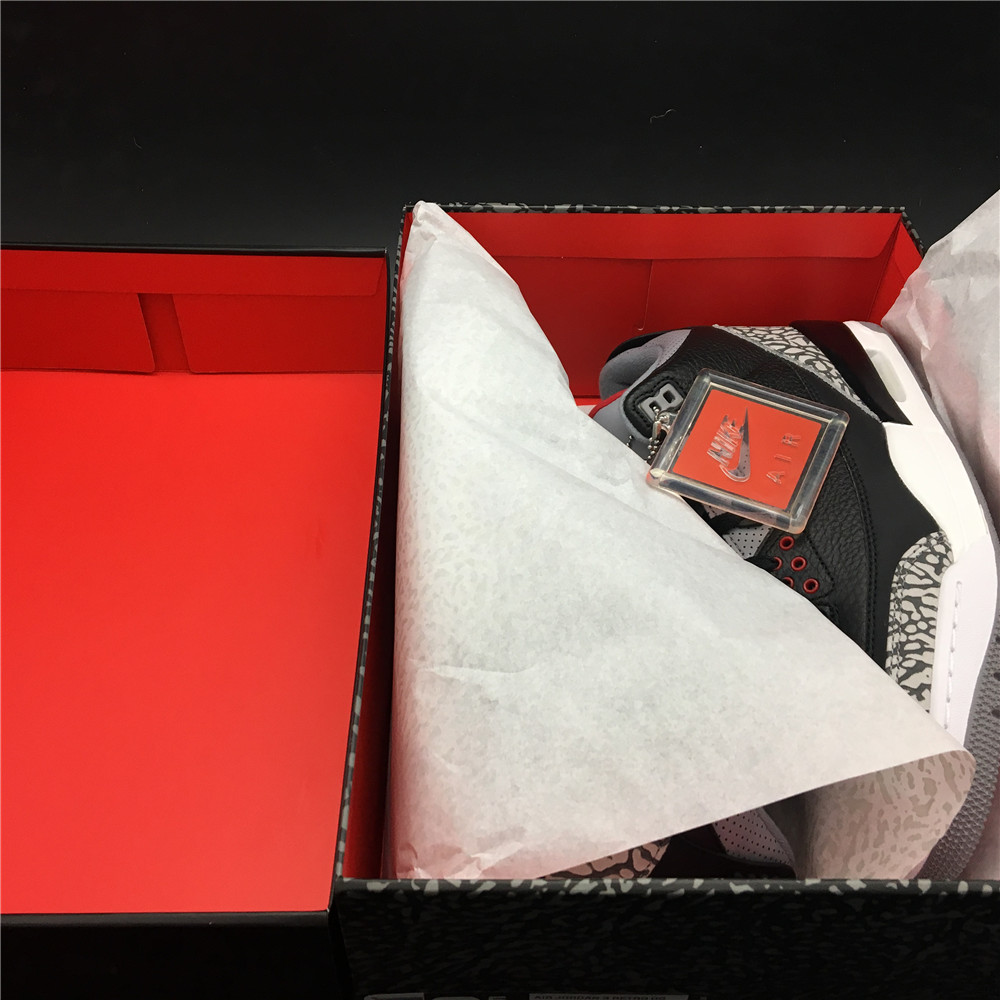 Air Image is notAir Jordan 3 Retro OG  854261-001