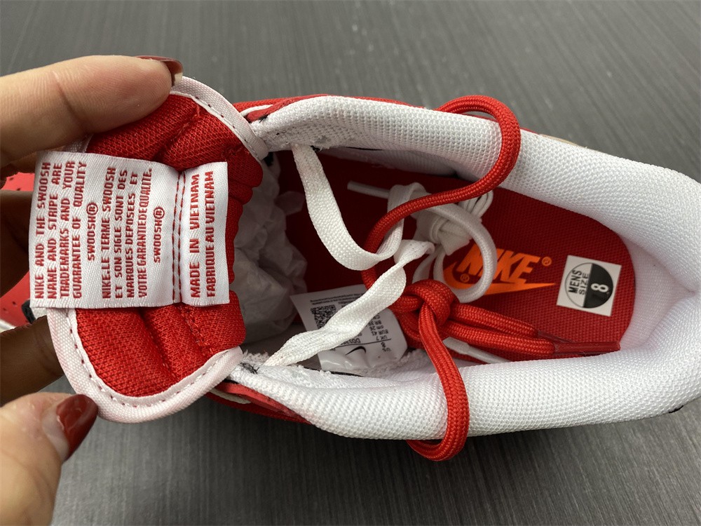 Nike SB Dunk Low UNIVERSITY RED DD1391-600