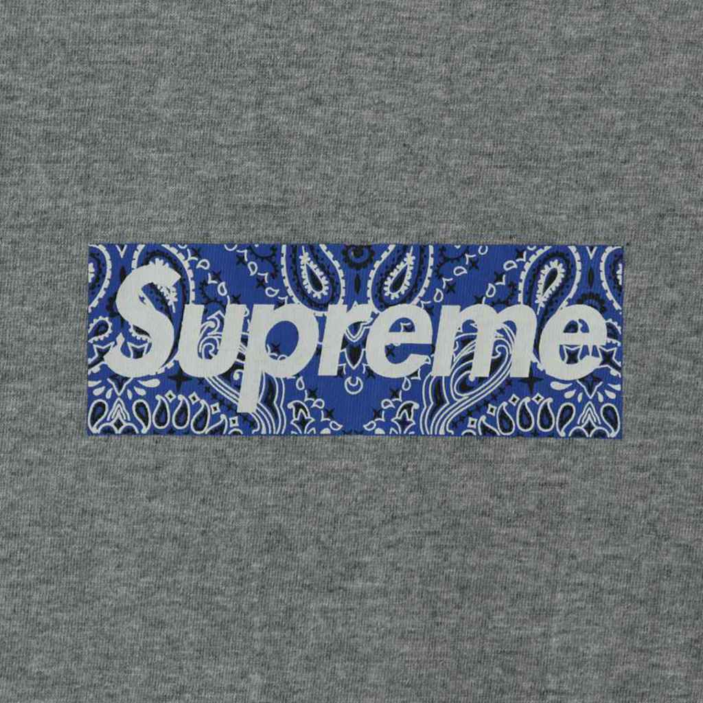Svp*me 19FW Bandana Box Logo Tee