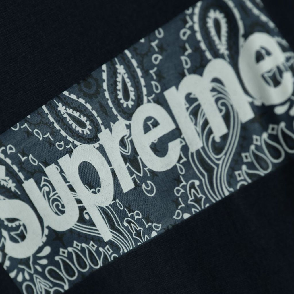 Svp*me 19FW Bandana Box Logo Tee?