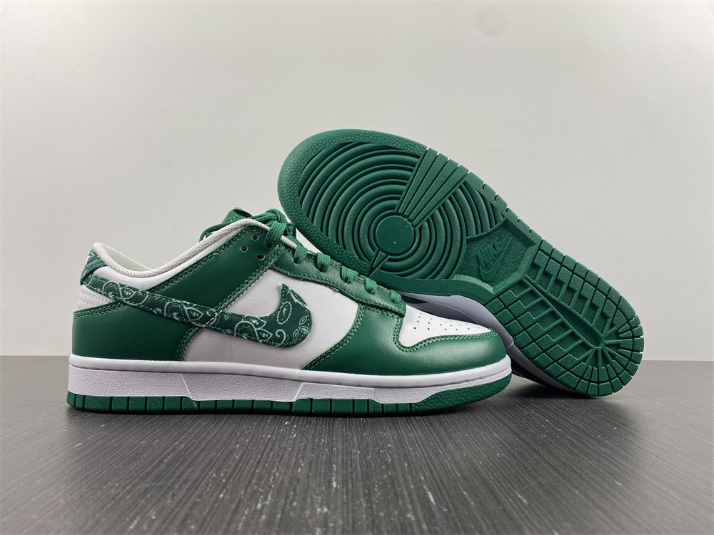 Nike Dunk Low SB DH4401-102