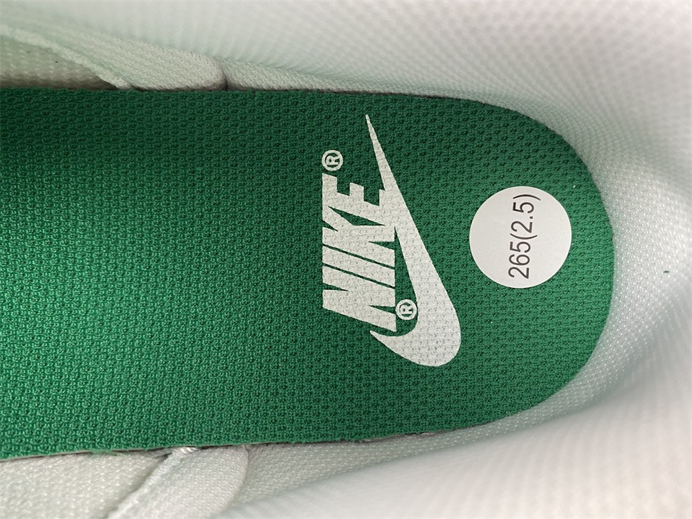 Nike Dunk Low SB DH4401-102