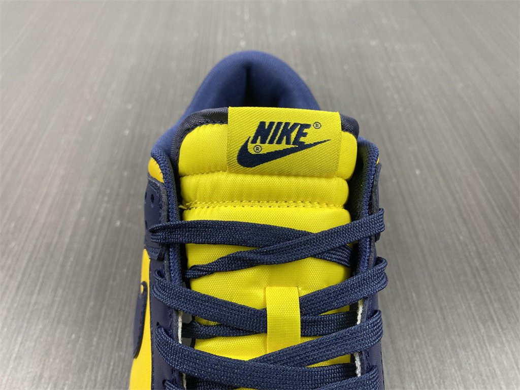 Nike SB Dunk Low Michigan DD1391-700