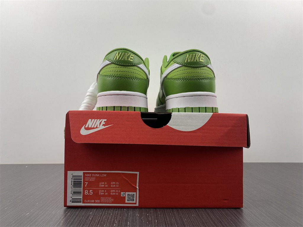 Nike Dunk Low Style Code DJ6188-300