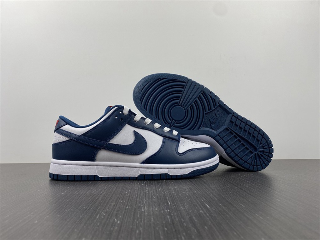 Nike dunk SB Low Retro Valerian Blue DD1391-400