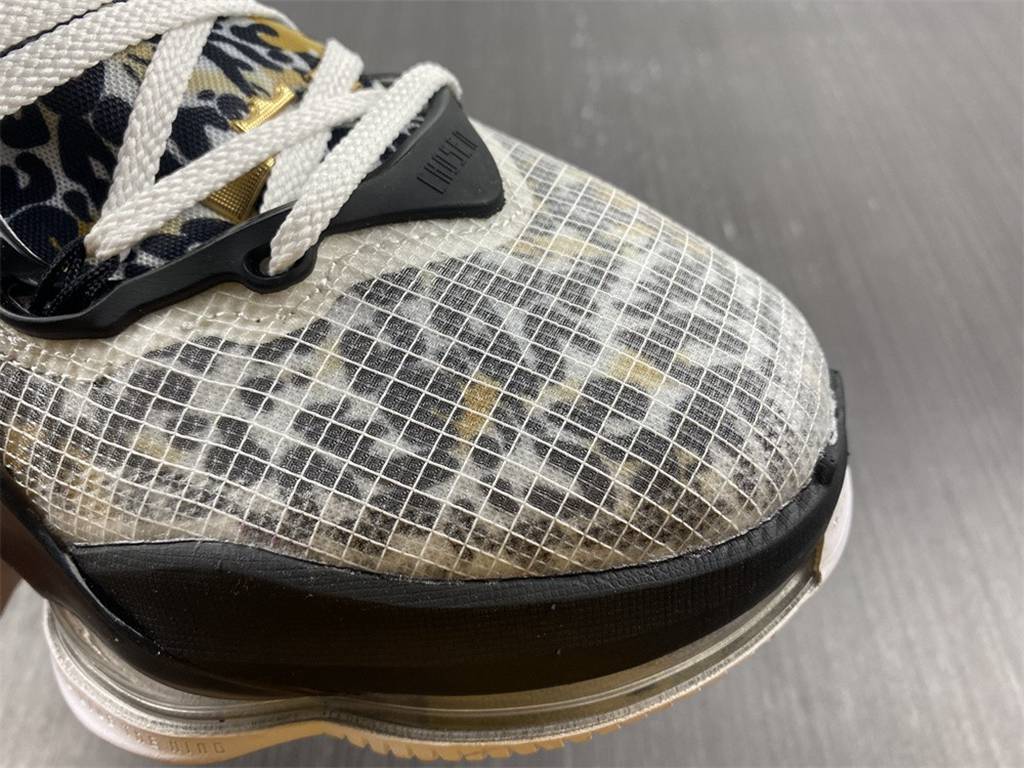 NIKE LeBron XIX EP DC9340-100