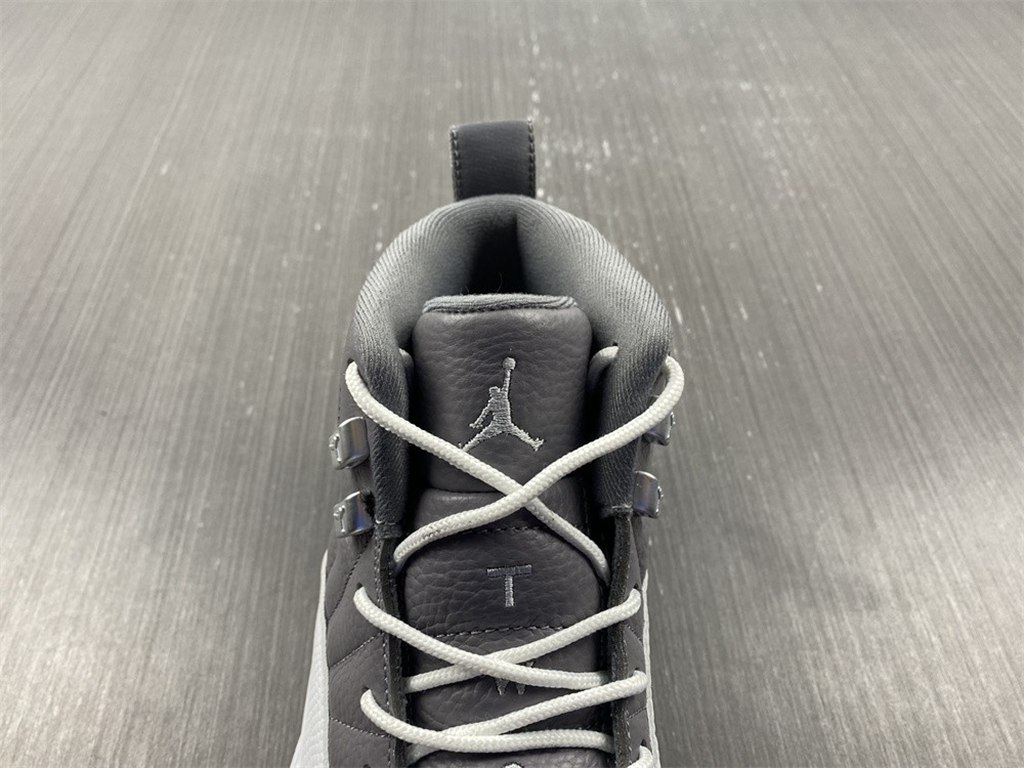 Air Jordan 12 STEALTH CT8025-610