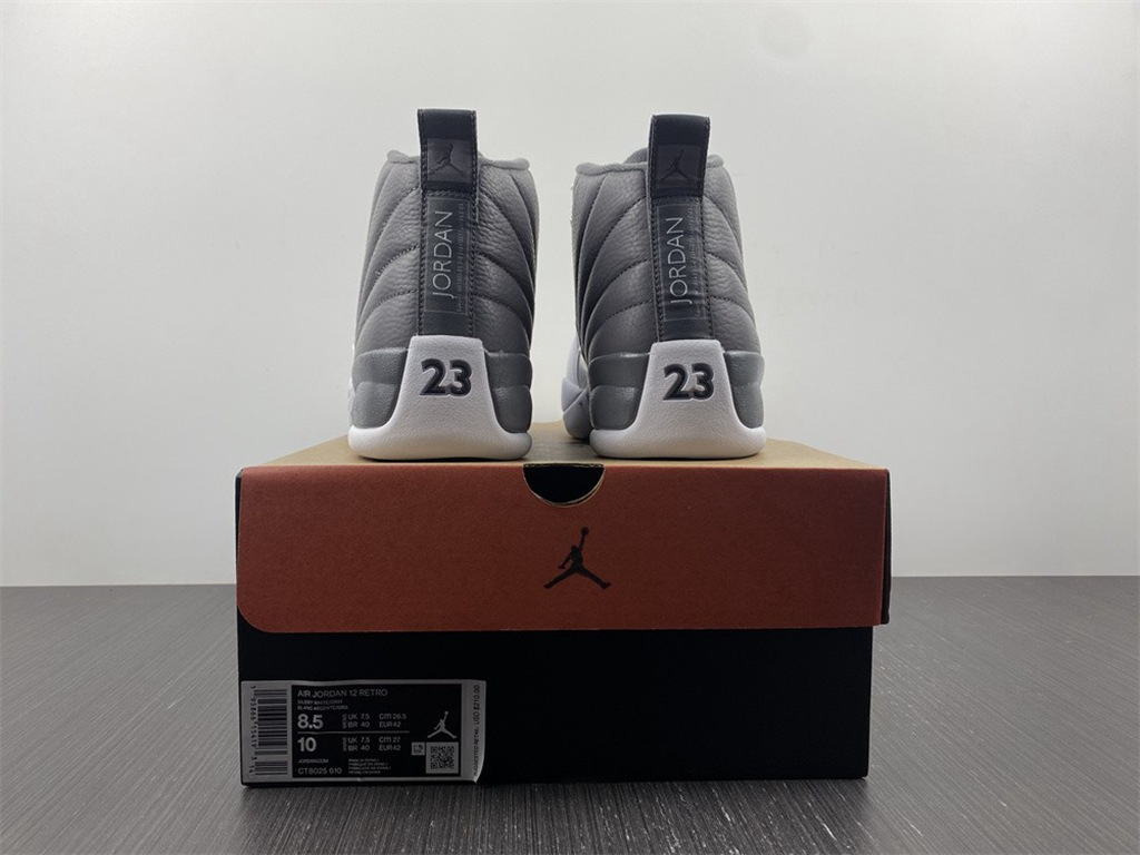Air Jordan 12 STEALTH CT8025-610