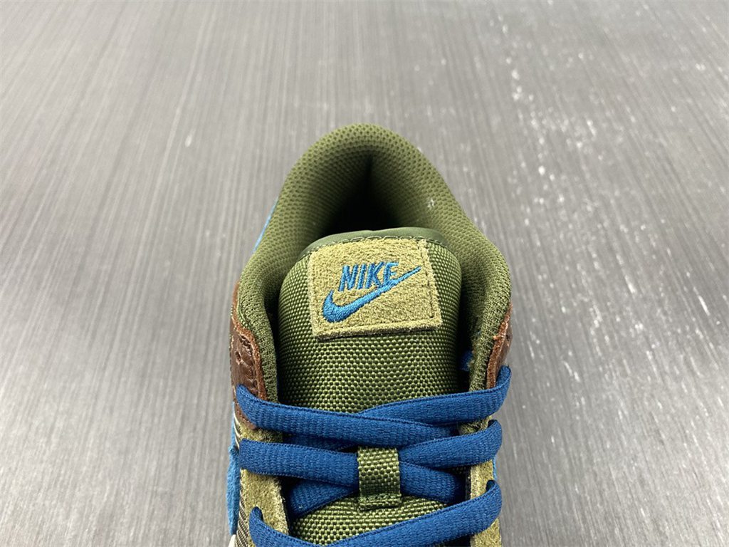 Nike Dunk DR0159-200