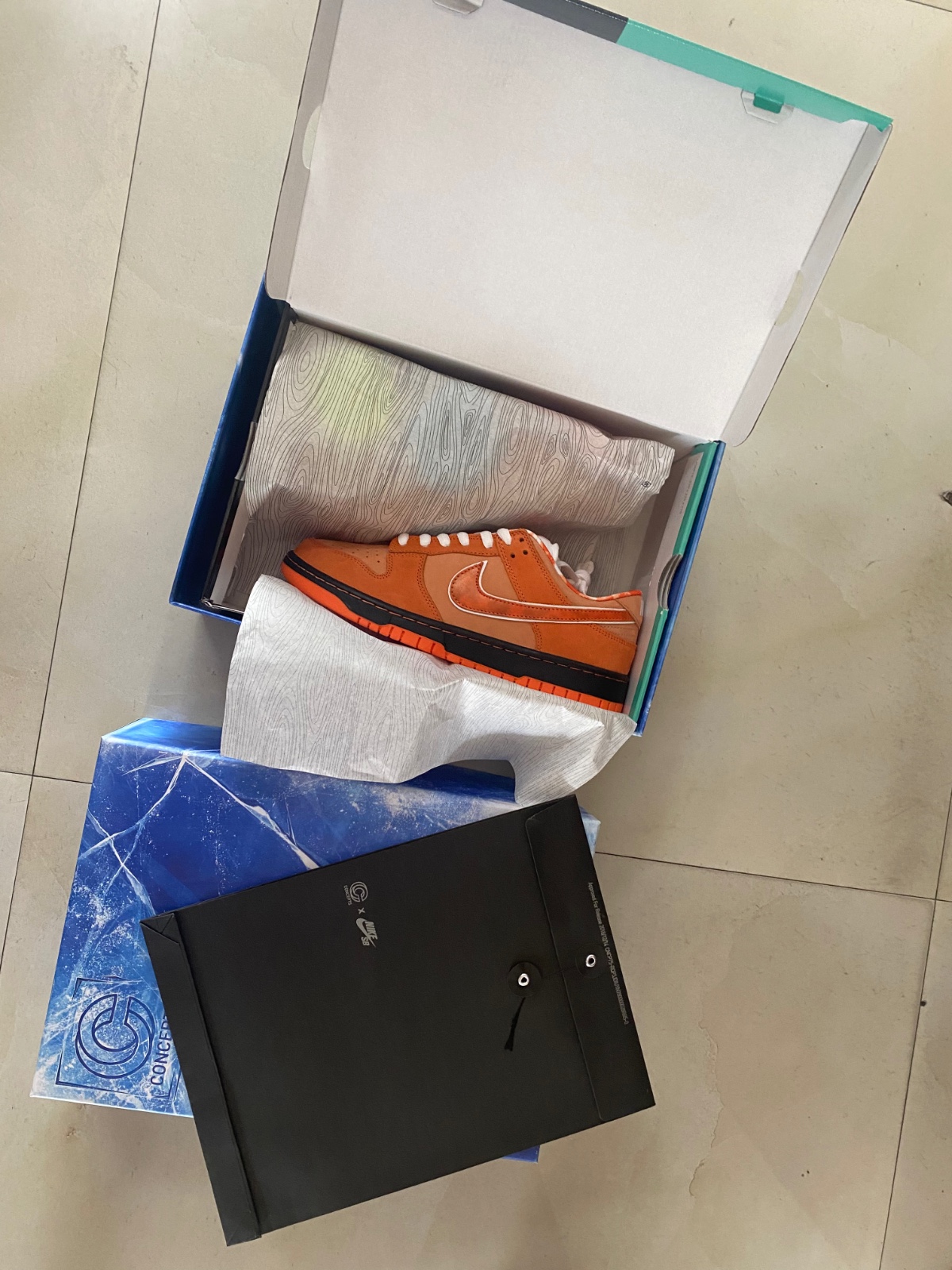 Concepts x Nike SB Dunk Low FD8776-800