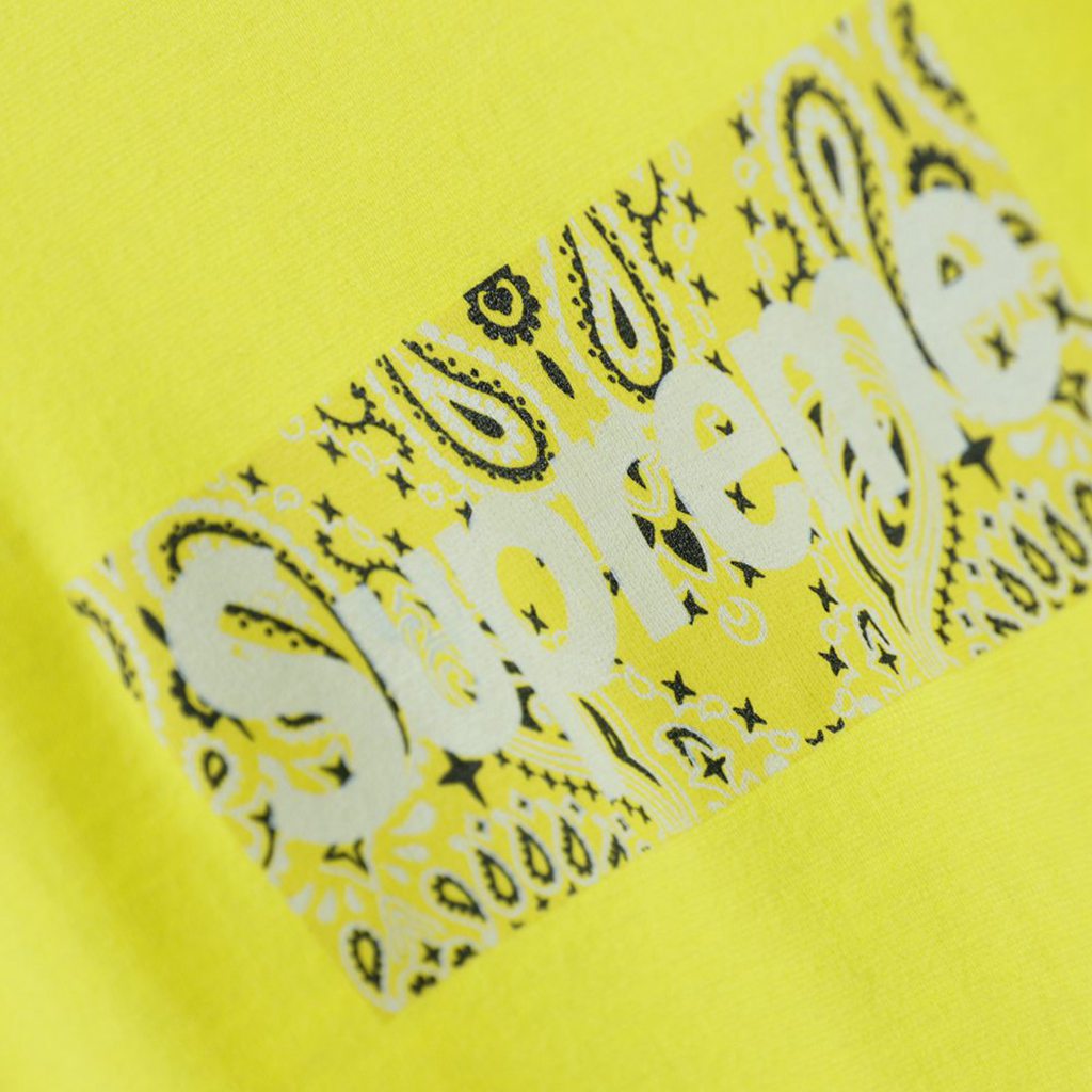 Svp*me 19FW Bandana Box Logo Tee?