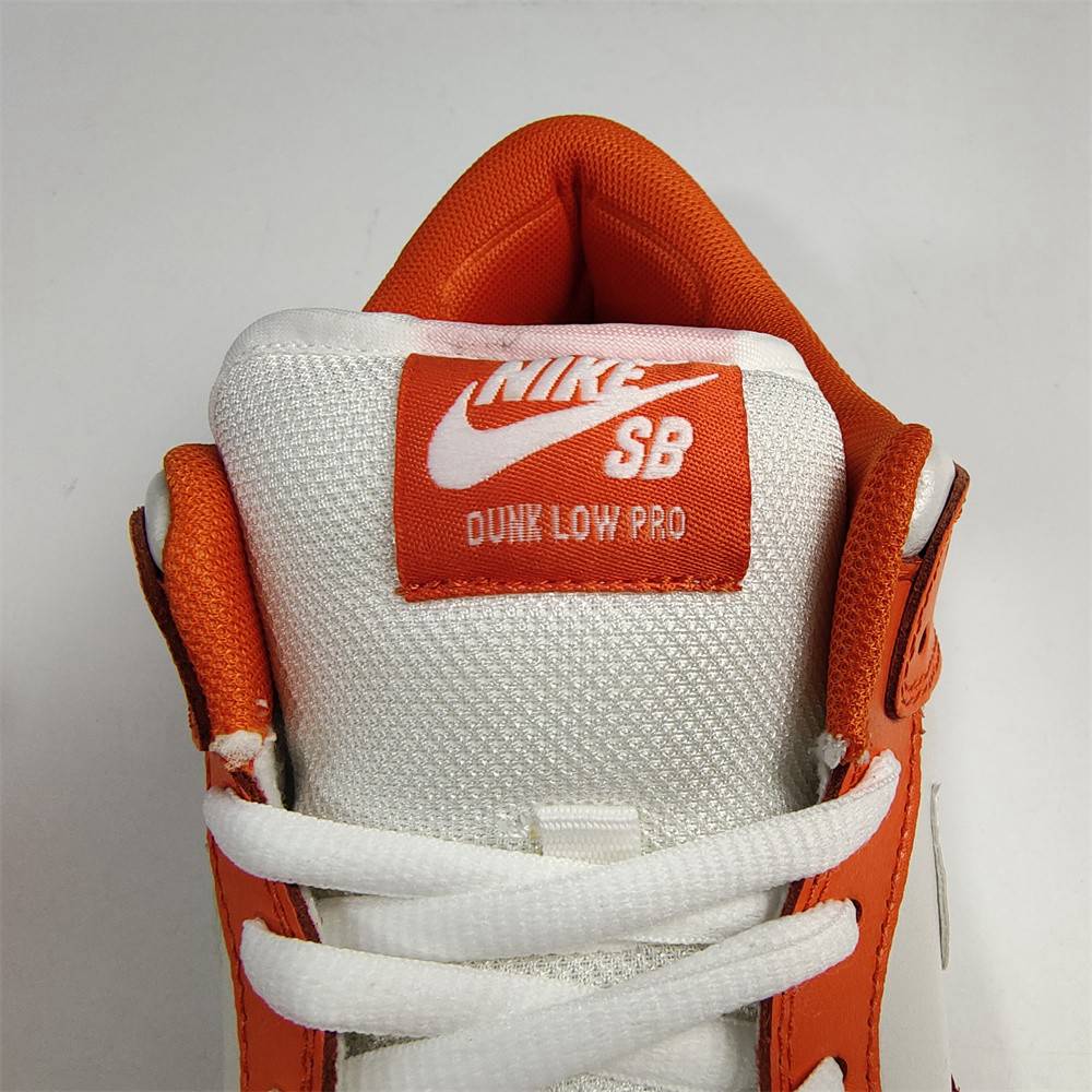 Nike SB Dunk Low BQ6817-806