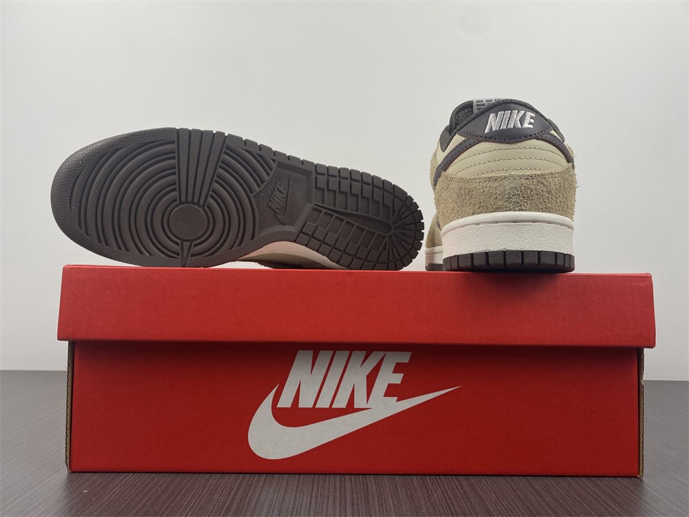 Nike Dunk Low PRM DH7913-200