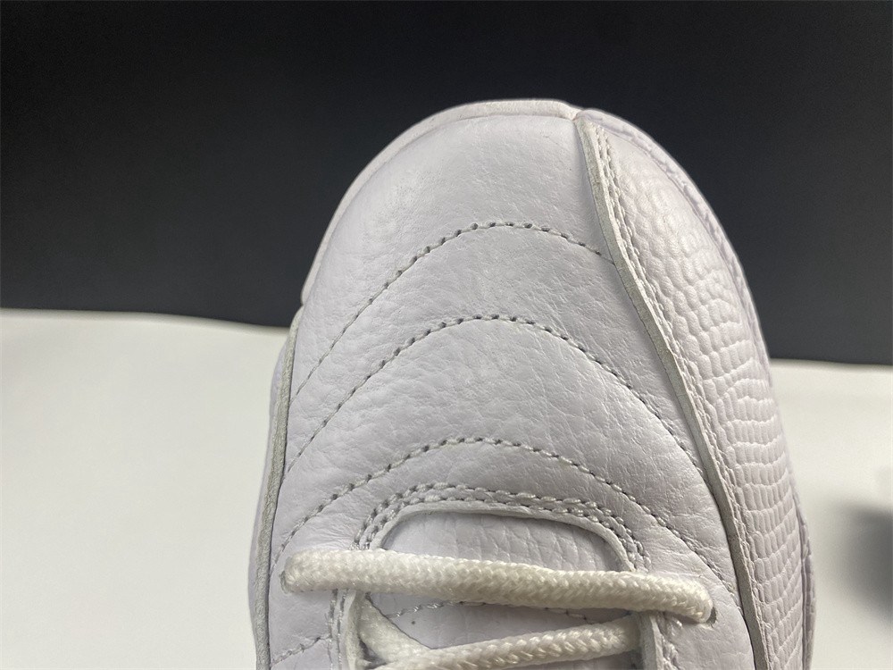 Air Jordan 12 CT8013-106