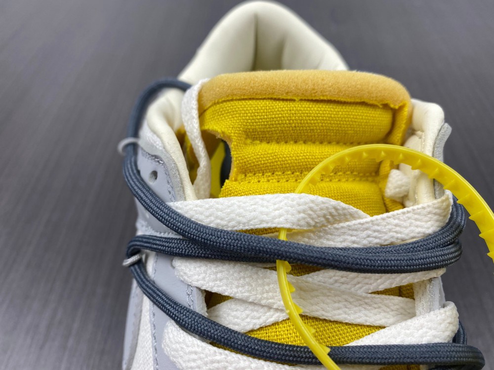 Dunk NO.41 Nike Dun DM1602-105