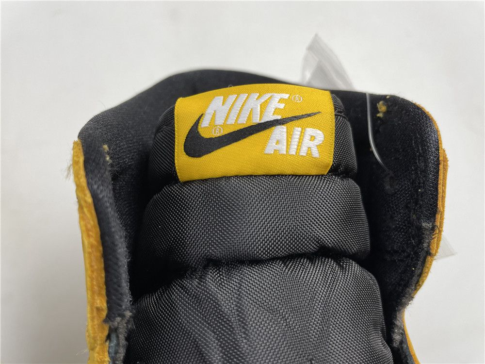 Air Jordan 1 High OG Pollen 555088-701