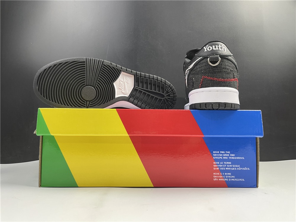 Wasted Youth X Nike Dunk SB Low Black DD8386-001