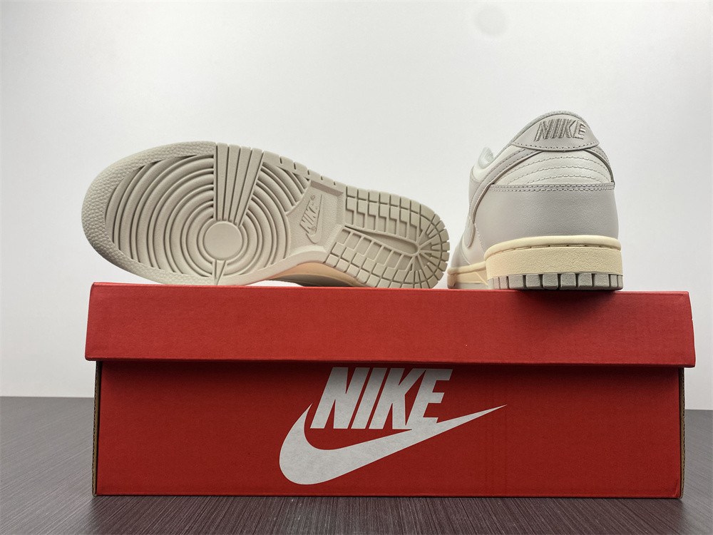 NIKE DUNK LOW DD1503-107