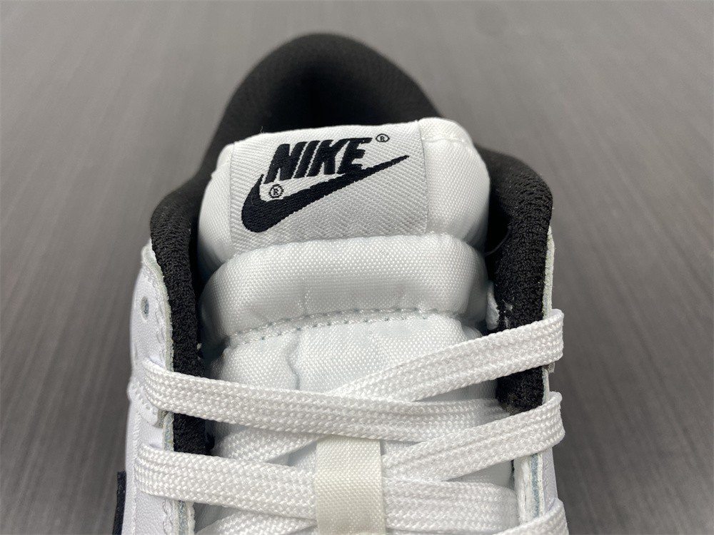 SB Dunk Low DD1503-113