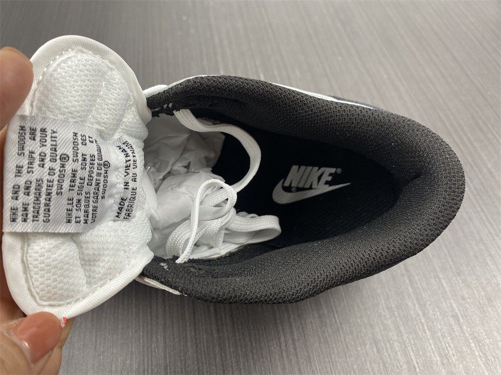 SB Dunk Low DD1503-113