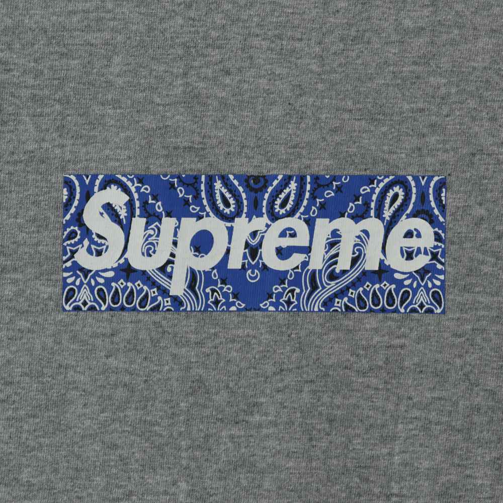 Svp*me 19FW Bandana Box Logo Tee