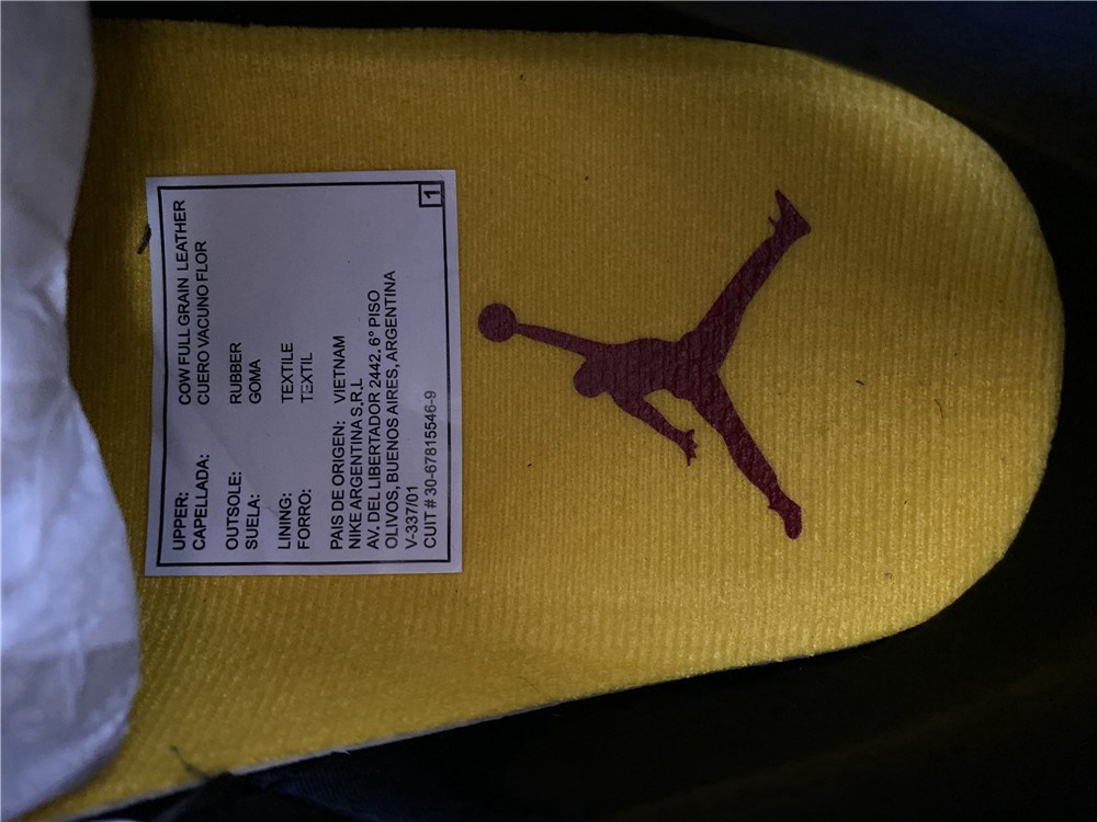 Air Jordan 3 SE Animal Instinct 2.0(CV3583-003)