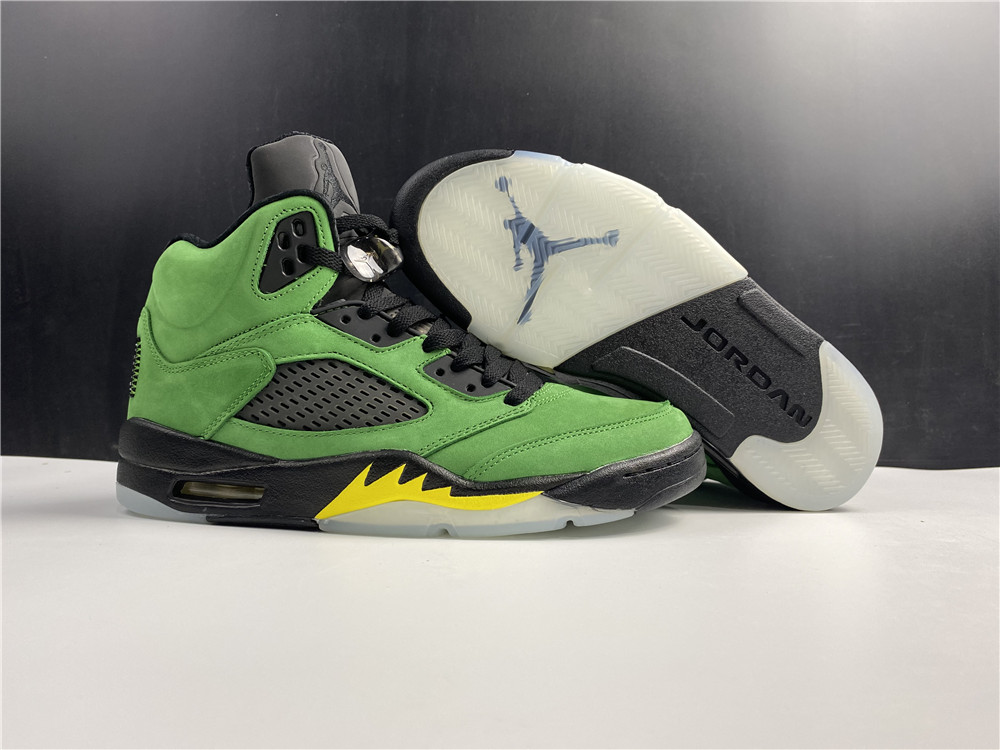 Air Jordan 5 Retro SE 